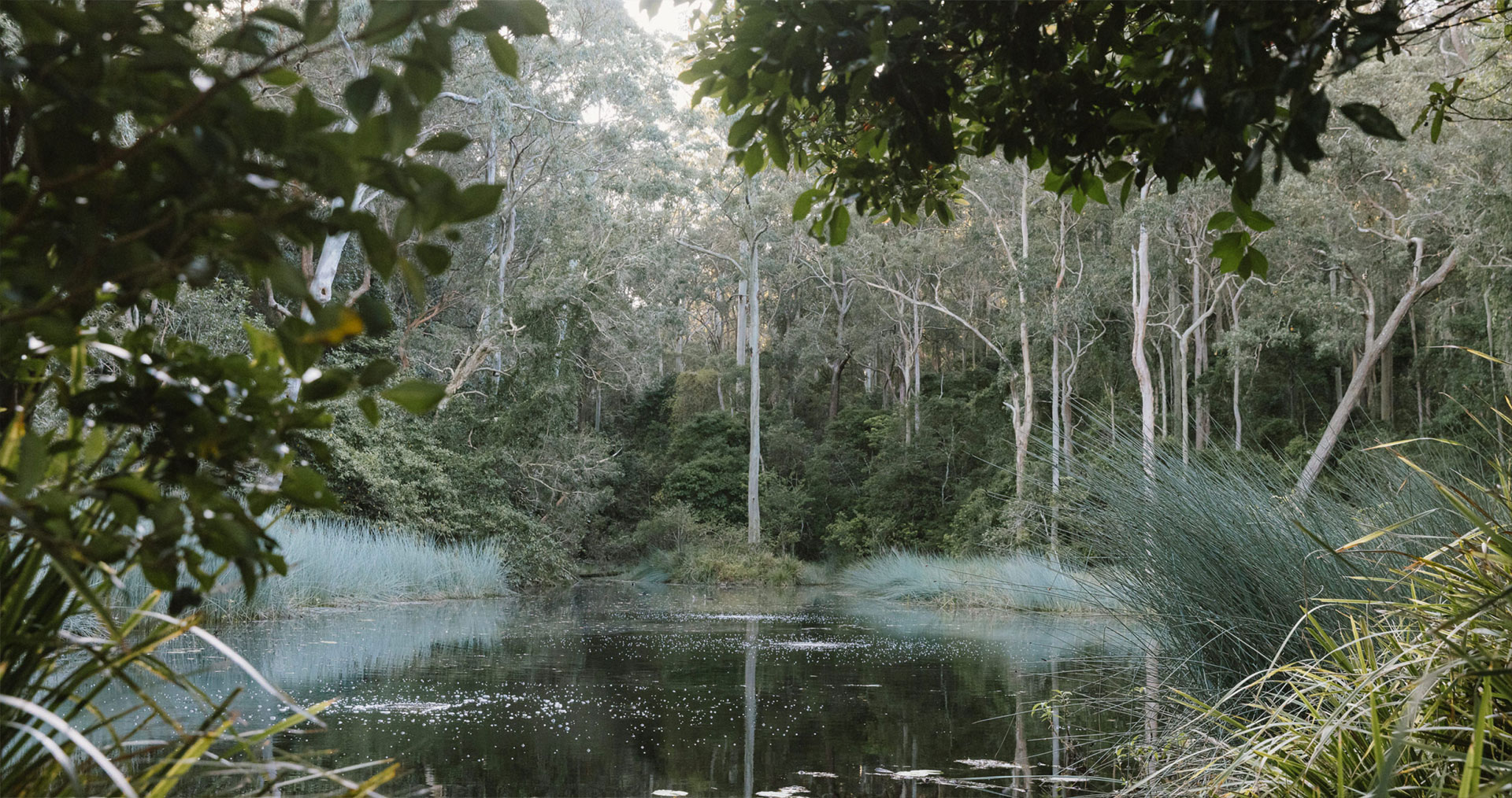 GWH_Era_Location_Image_lake_in_forest_1920x1014-min